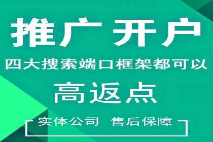 百度推广策略揭秘：某行业领头羊的成功经验